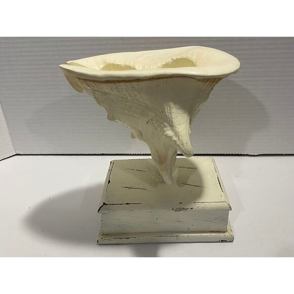 Conch Shell Votive Candle Holder, Coastal Living/ Beach Décor, Nautical, Shell - Picture 4 of 8